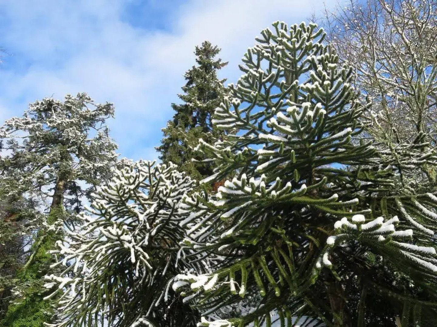 Pitlochry Dundarach Hotel