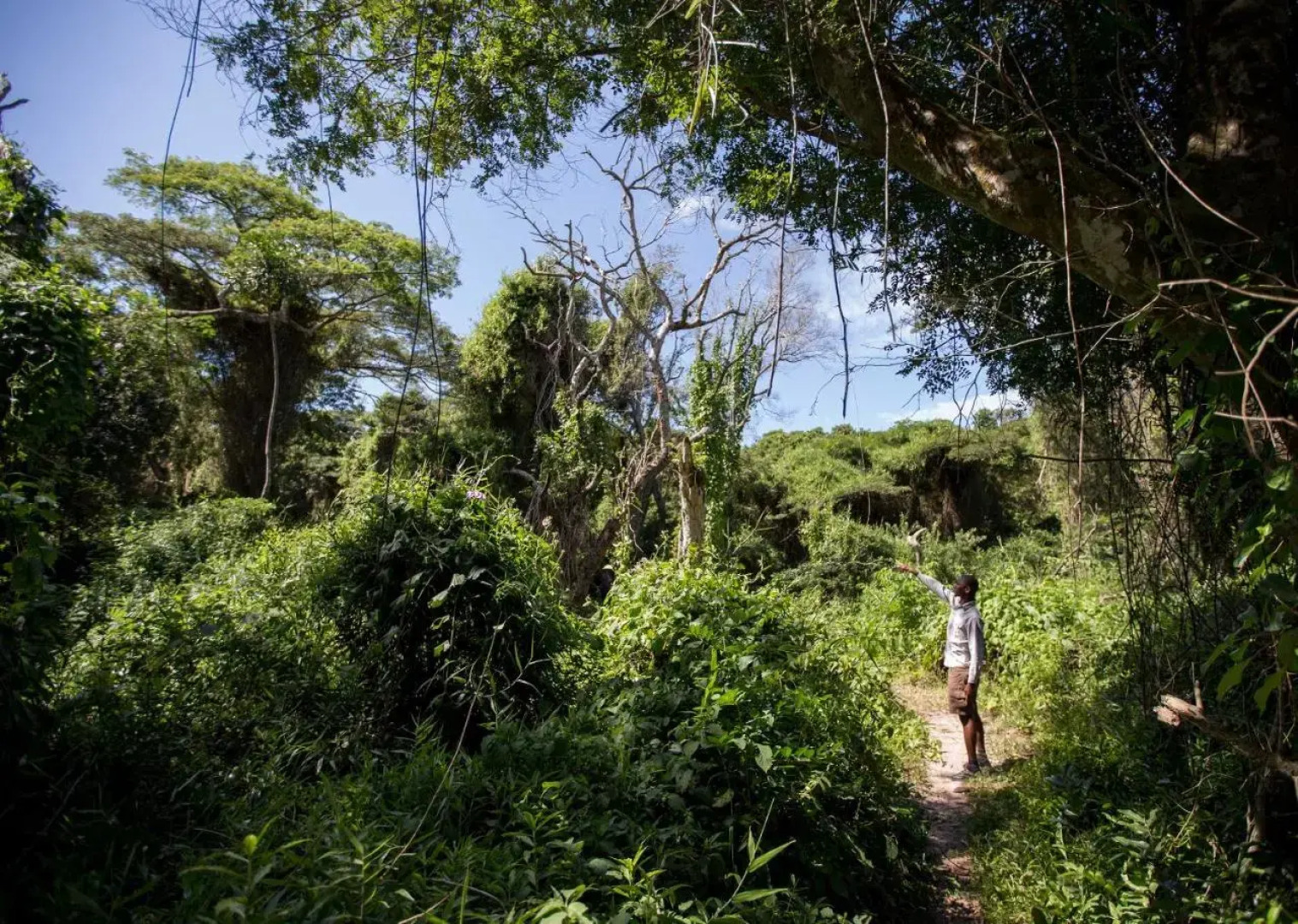 Royal Thonga Safari Lodge
