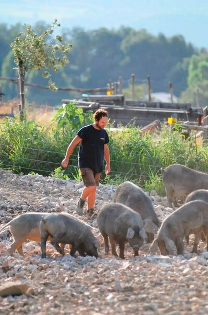 La Tavola dei Cavalieri