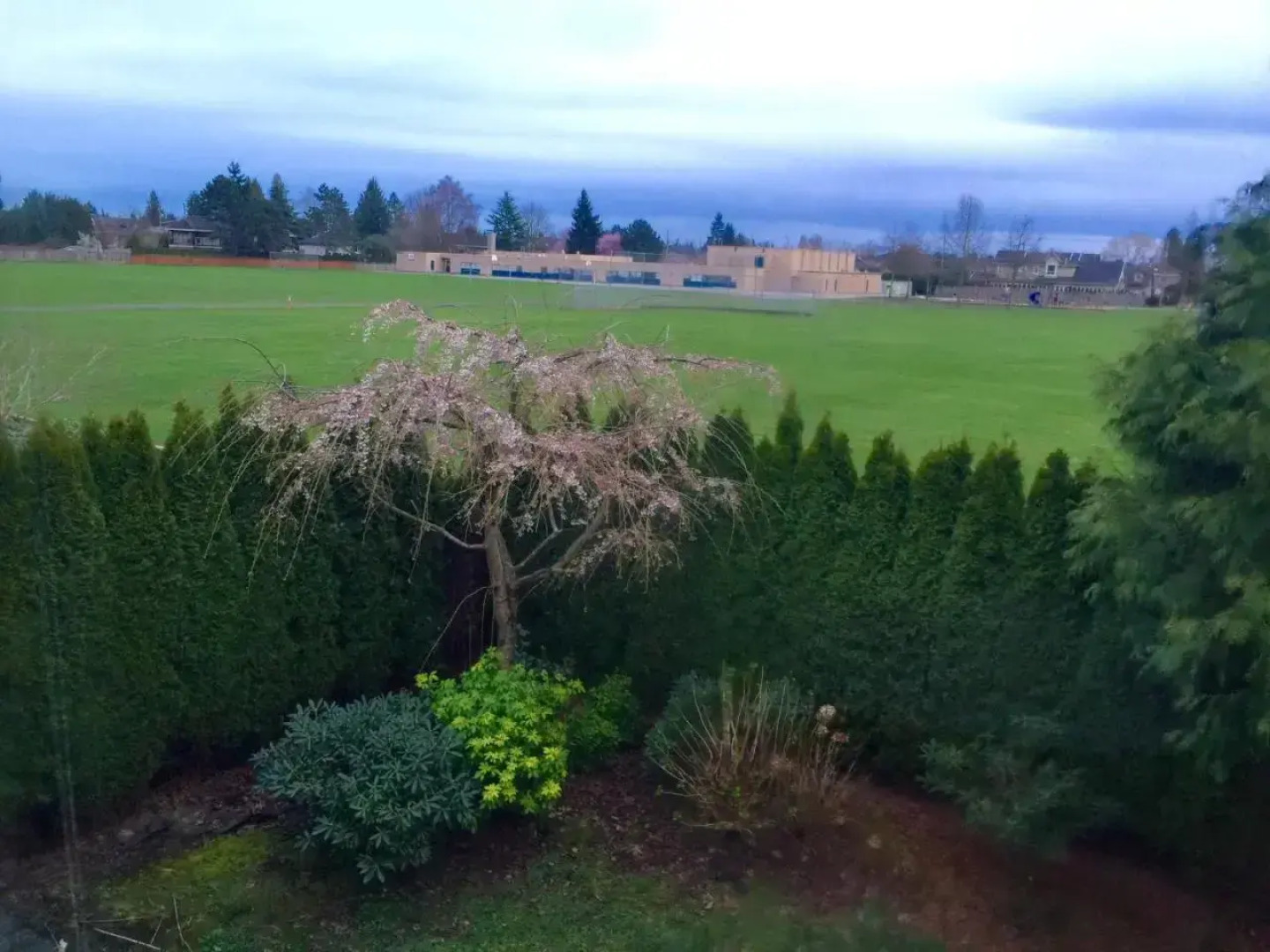 Vancouver Luxury Homestay