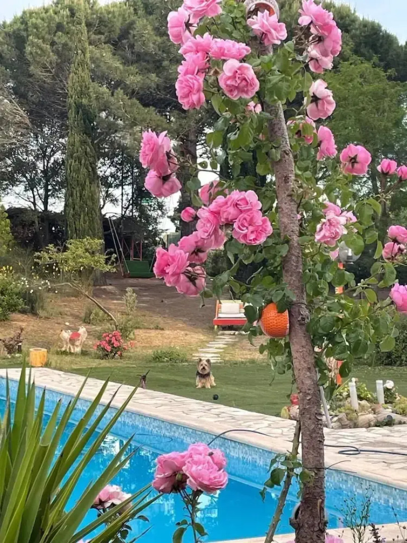 Bel Hôtel Restaurant La Gentilhommiere