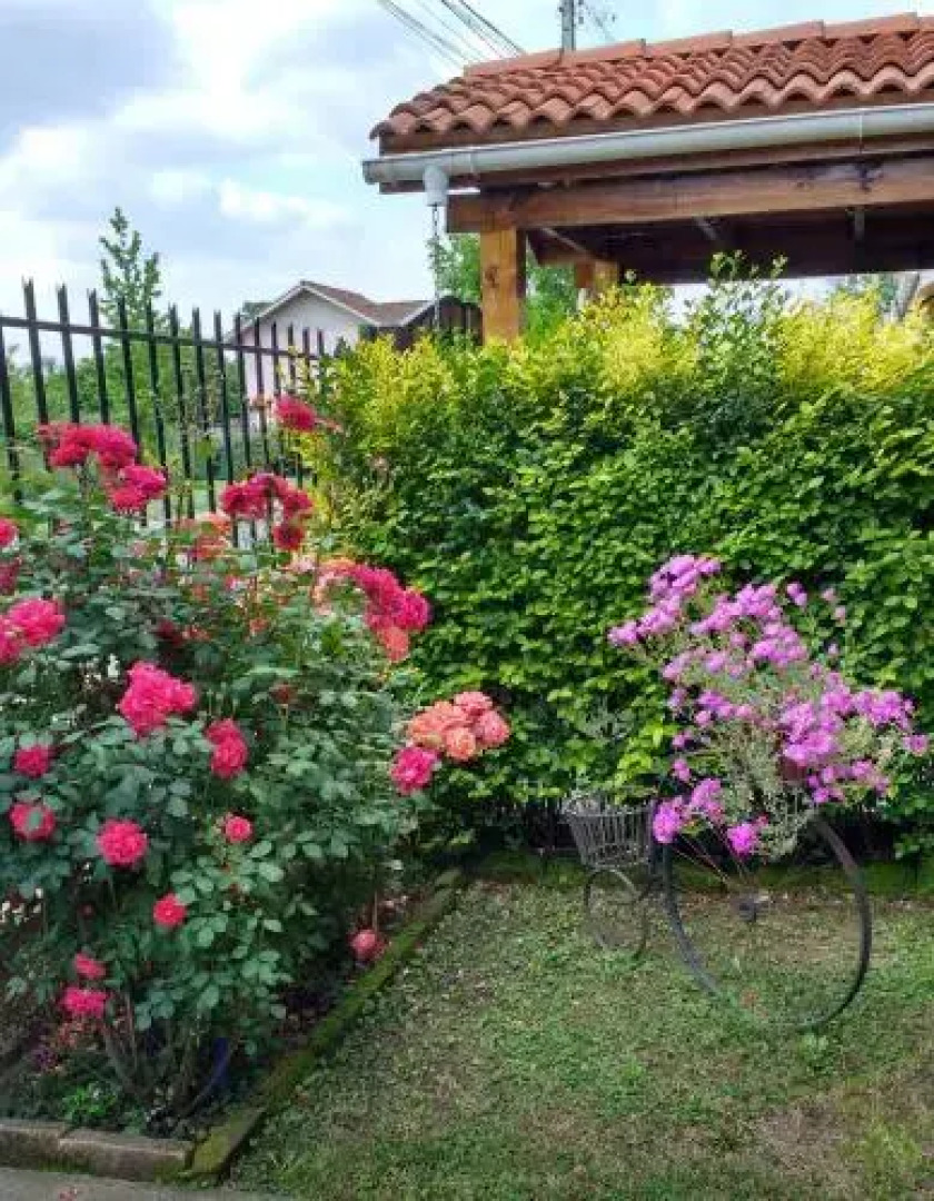 Casa Roble Añejo Bed & Breakfast