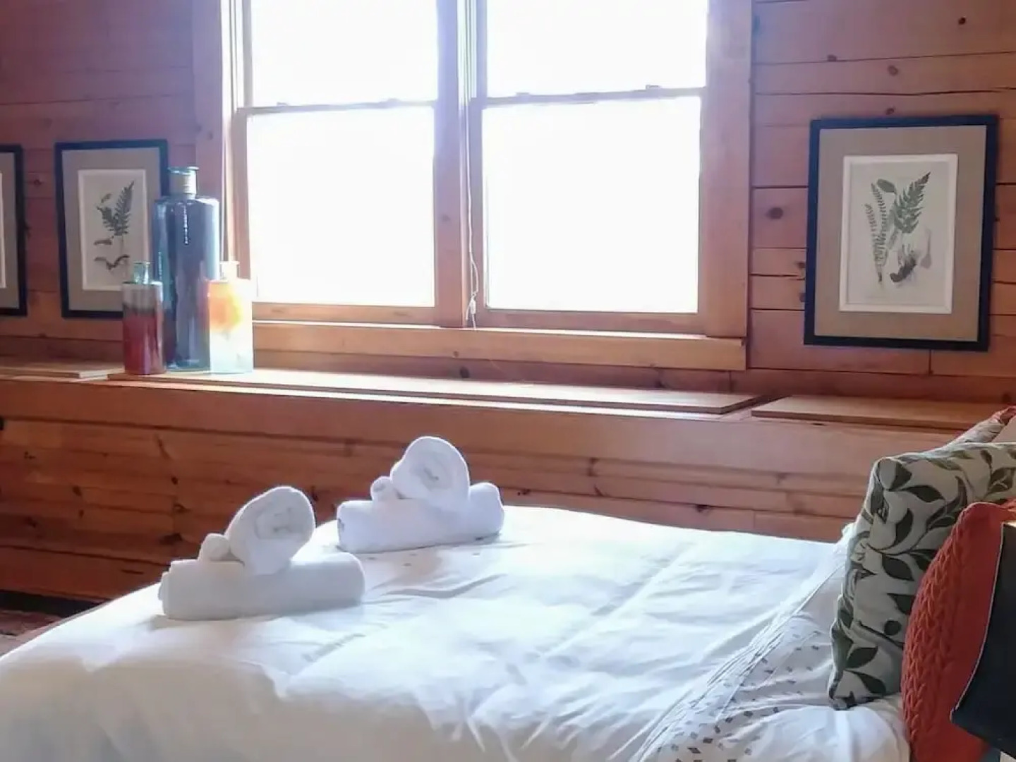 Wild Cat - 1 Br Cabin