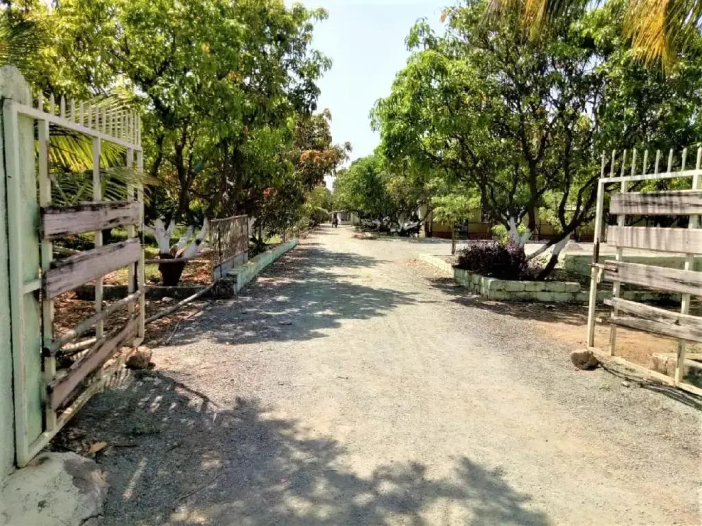 Wilderness Camp 200mtr from Devaliya Park