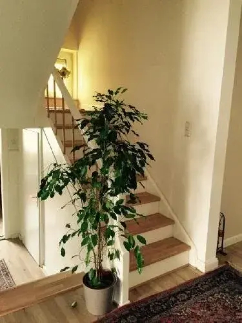Nordsee Apartments