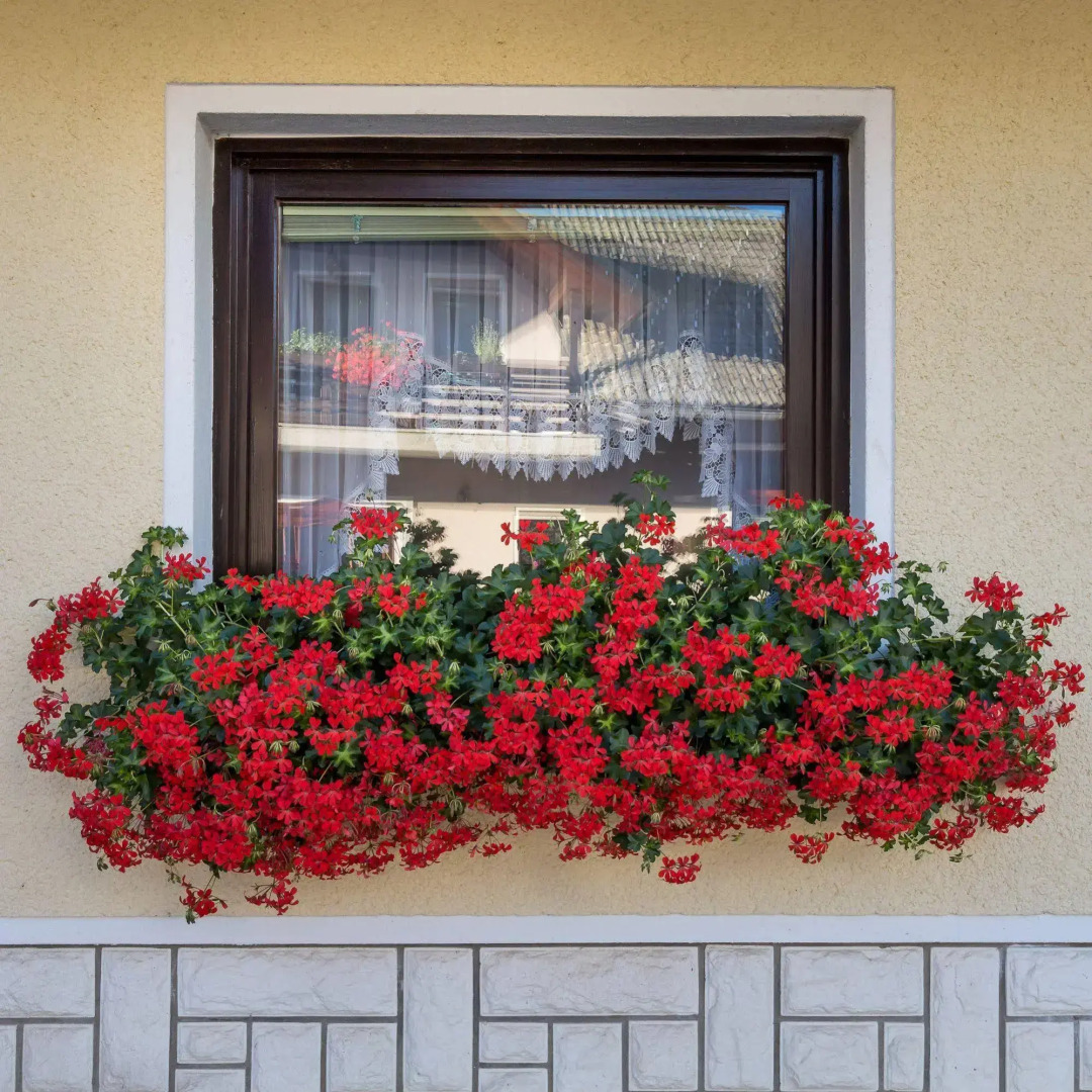 Rooms & Apartments Kepic