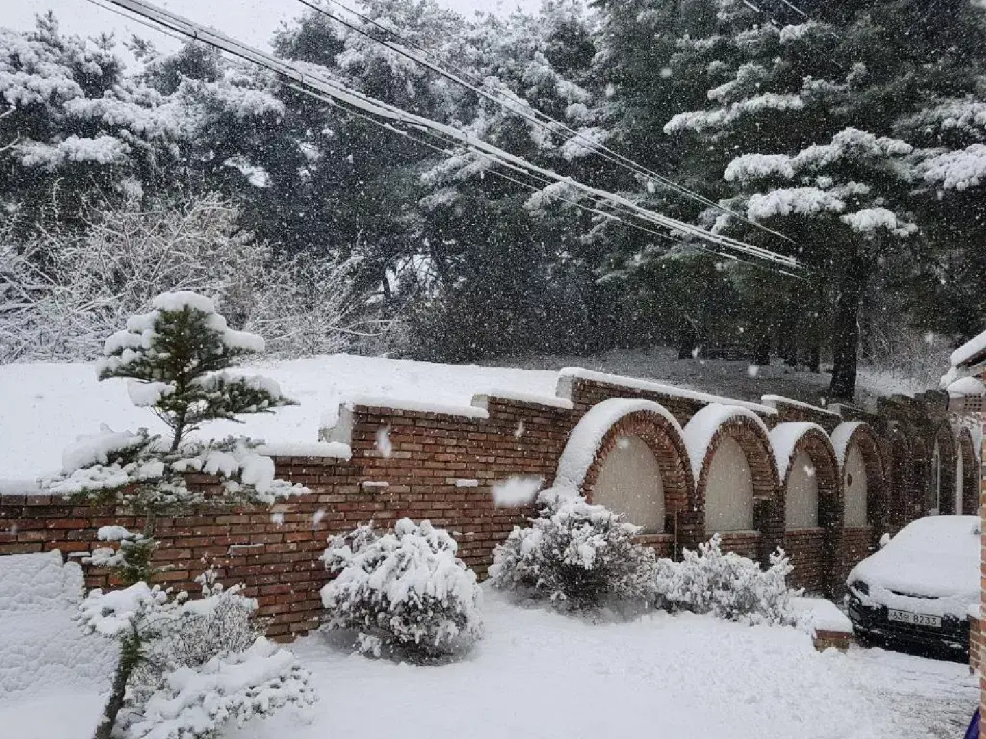 Hoengseong Castle of Magic Pension