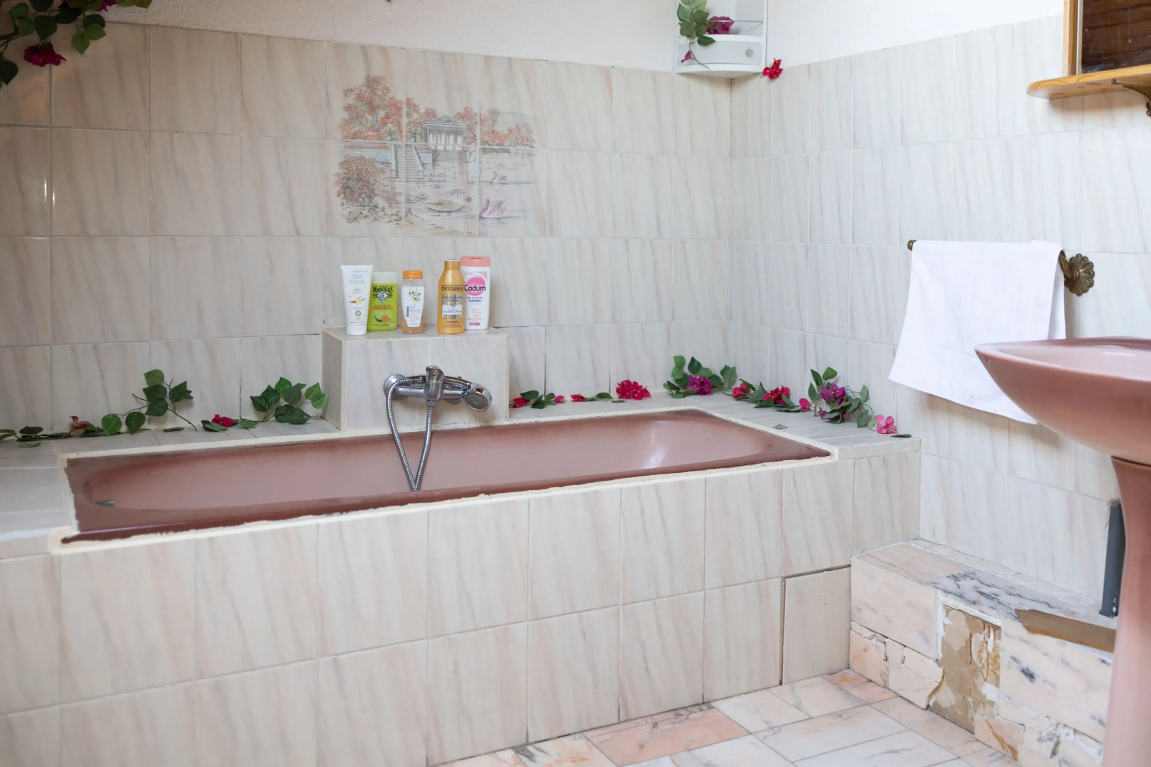 Paradis Chambres D'hôtes