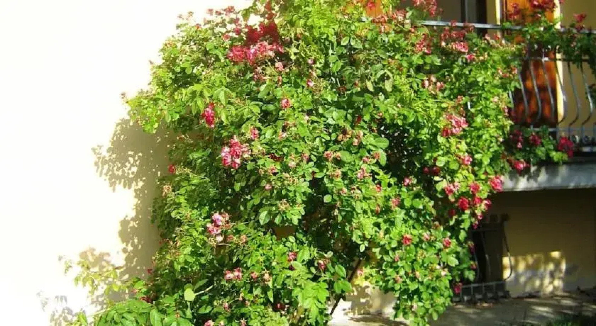 Apecchio-Val Tiberina