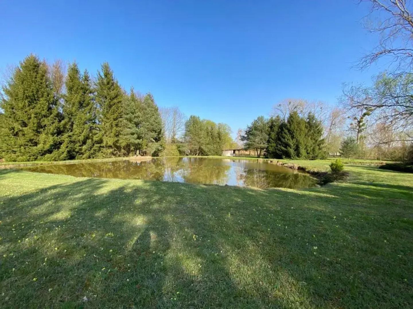 Charmant Studio a Haguenau, a 25mn de Strasbourg