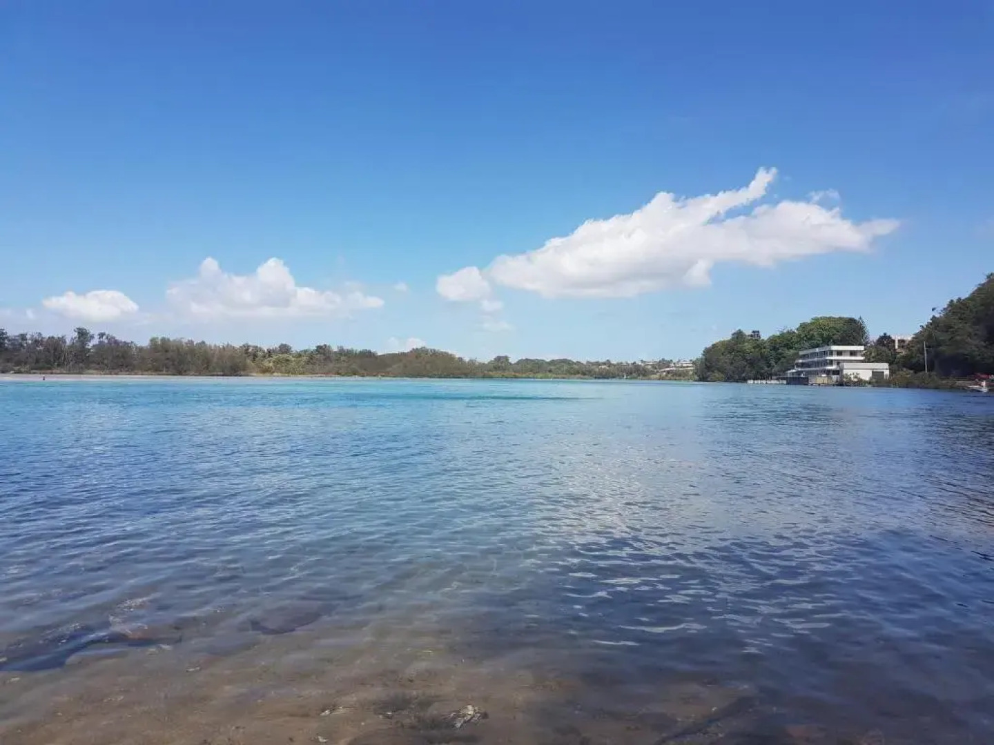 Forest view bungalow