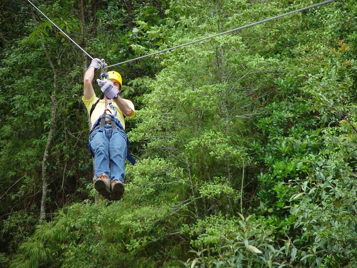 Trogon Lodge