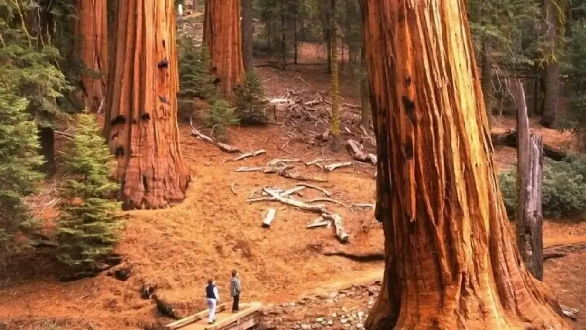 Scenic Wonders Coyote Creek 3 Bedrooms