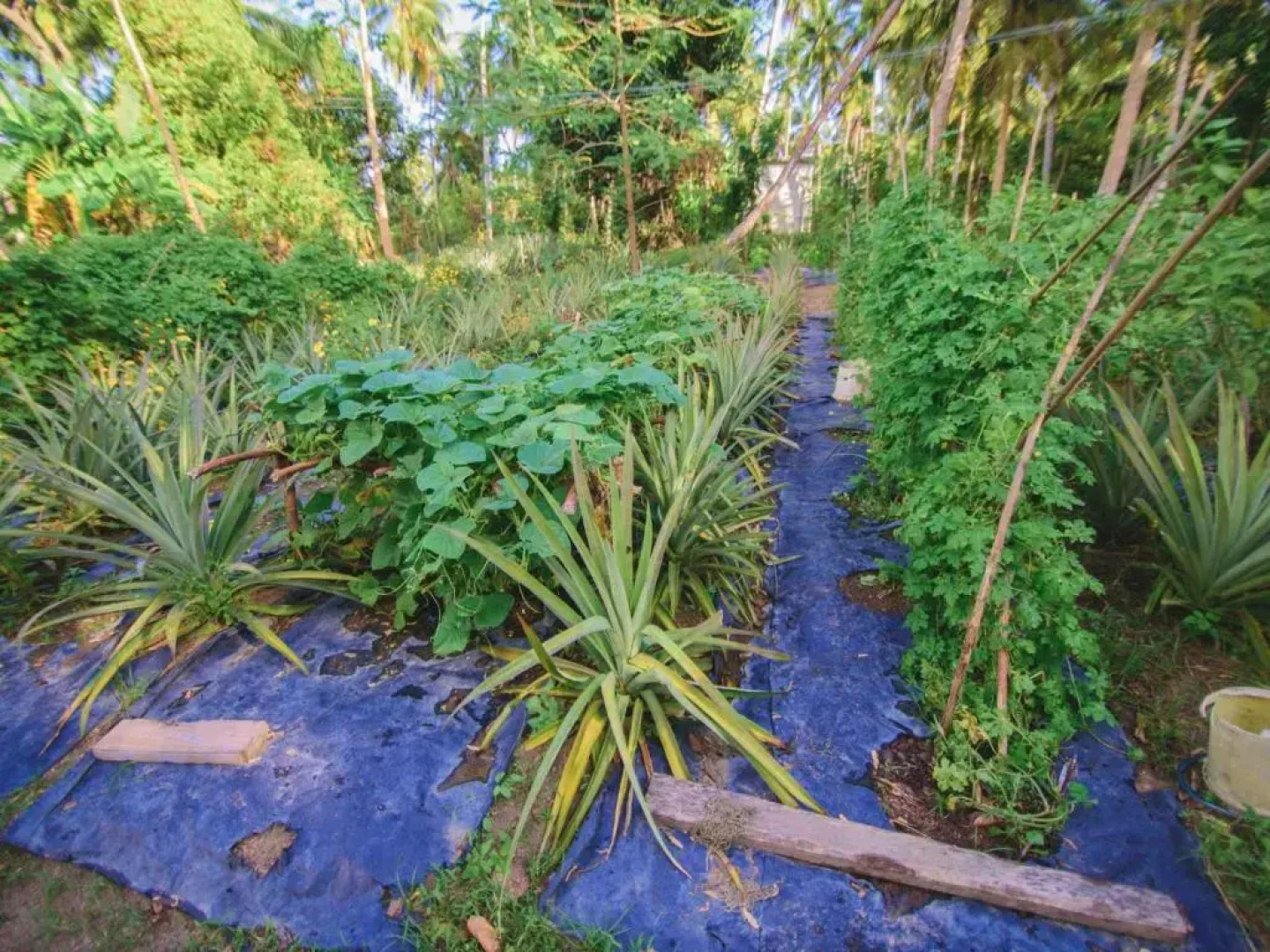 Thalpe Walawwa Heritage Villa