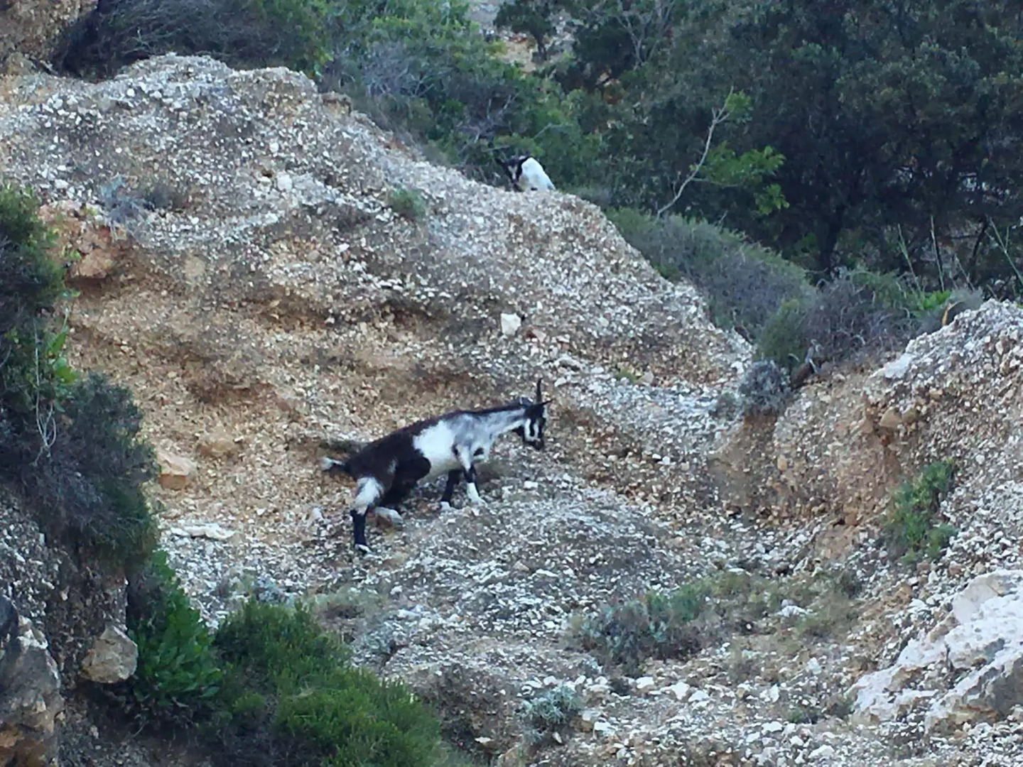 Residence Verde Mare