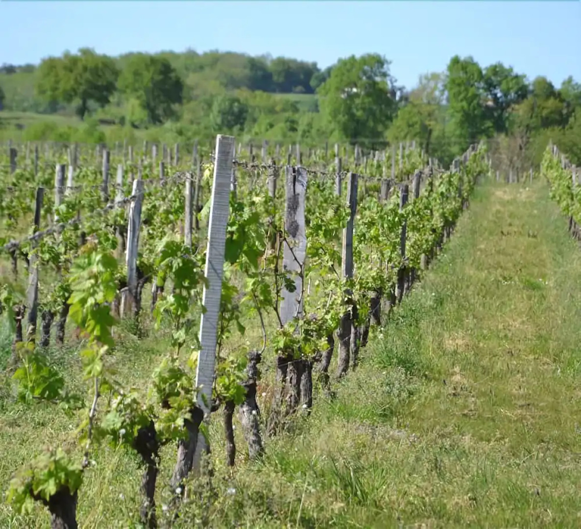 Domaine Le Mathi Gites