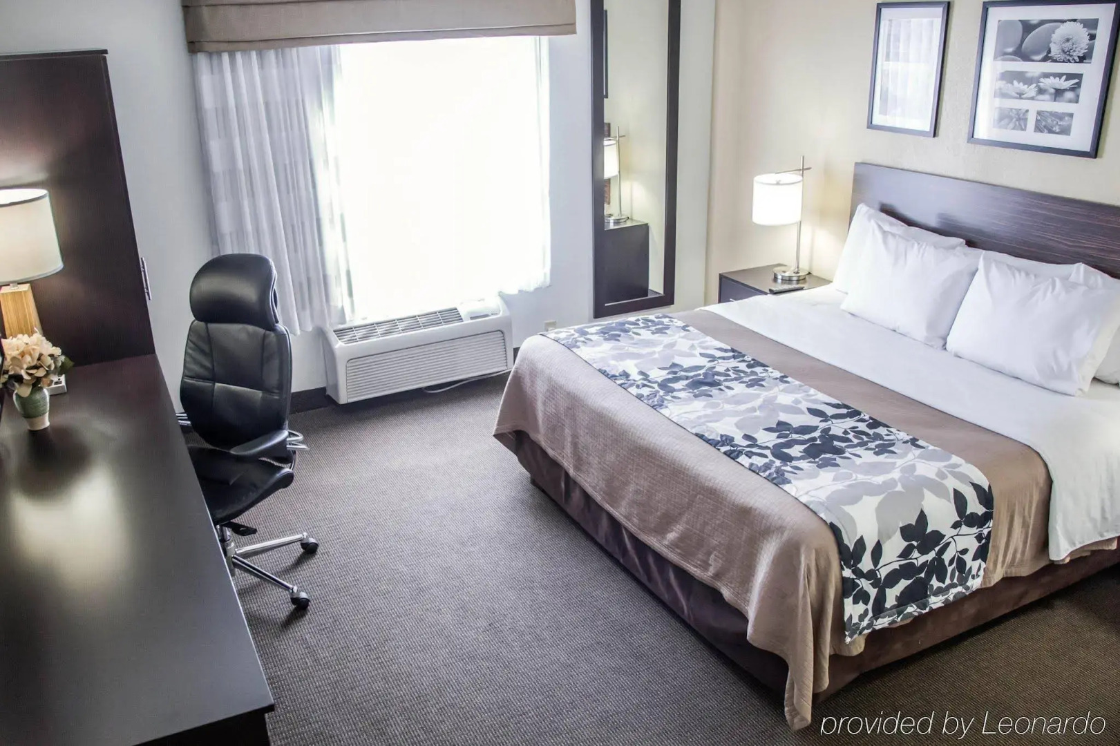 Sleep Inn Tinley Park I-80 near Amphitheatre-Convention Center