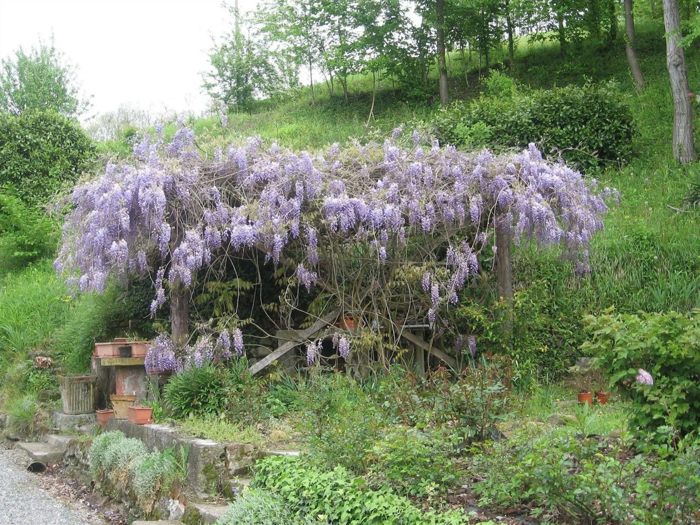Agriturismo Cascina Tollu