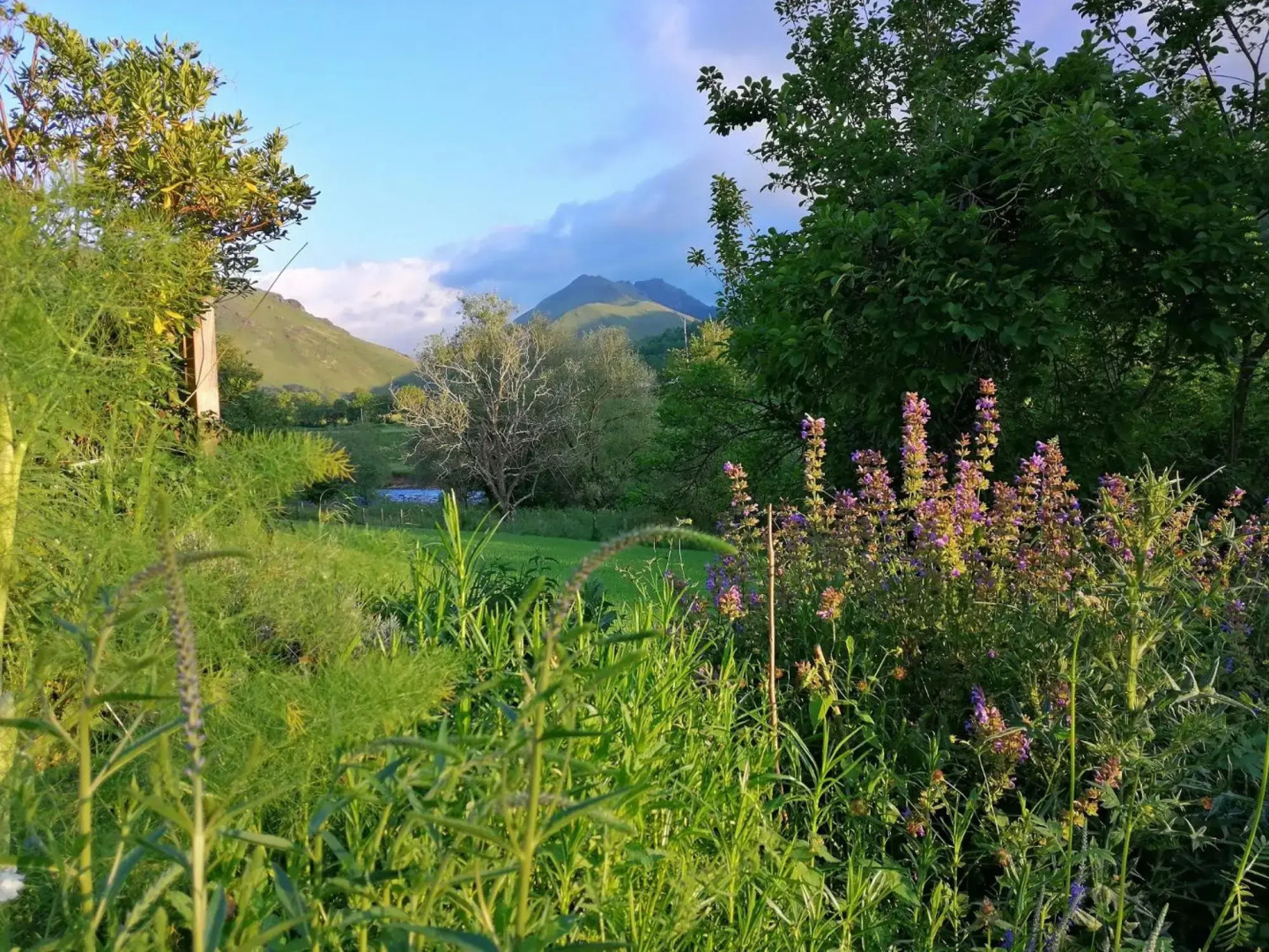 Logis Hotel Xoko-Goxoa