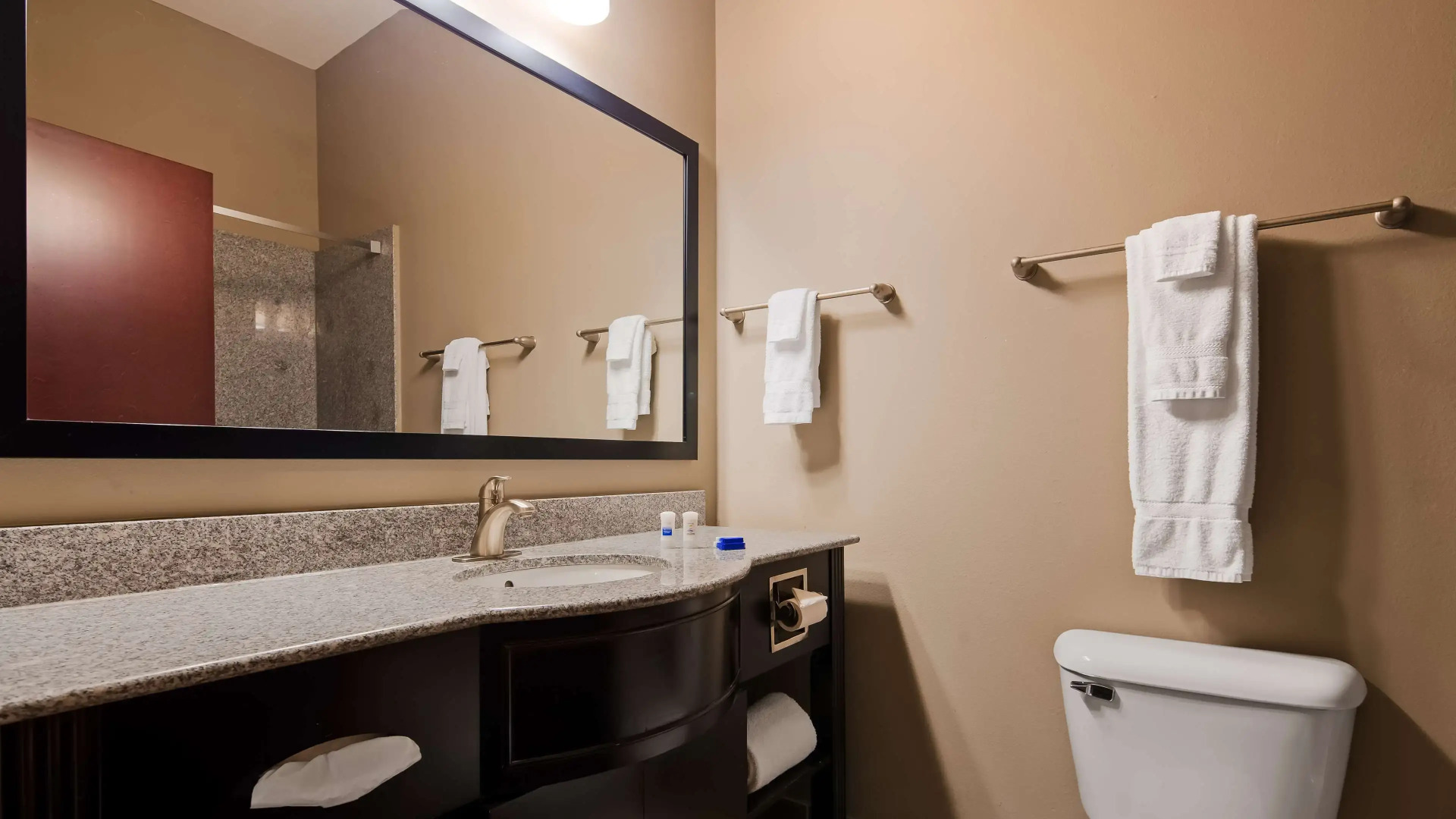 Best Western Abbeville Inn & Suites