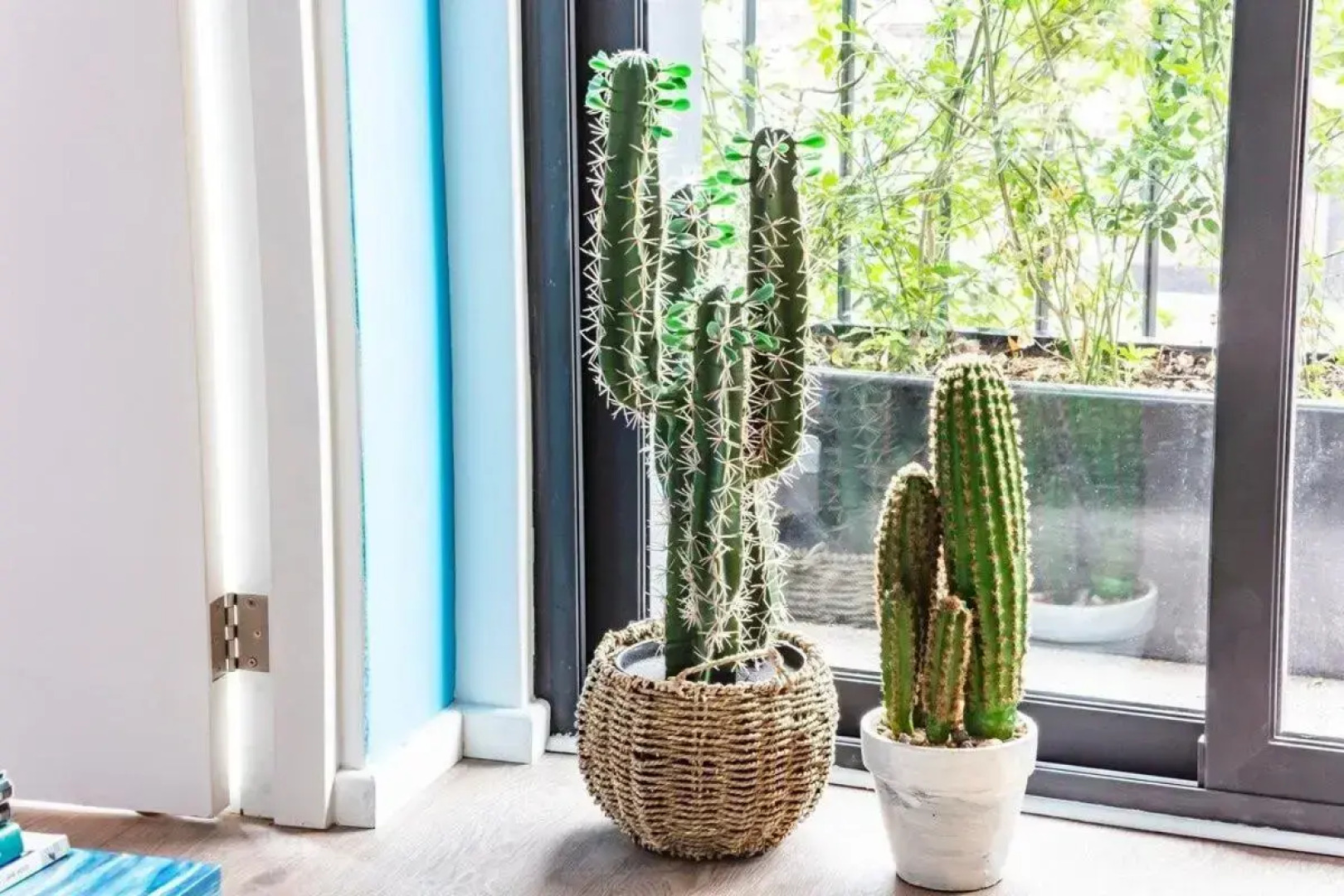 Muuuy Mexicano A 2 cuadras del Zócalo