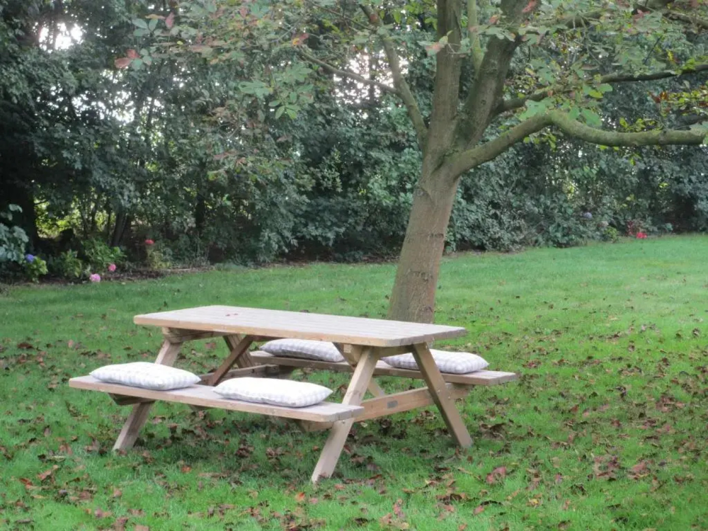 B&B Boerderij Wijtvliet