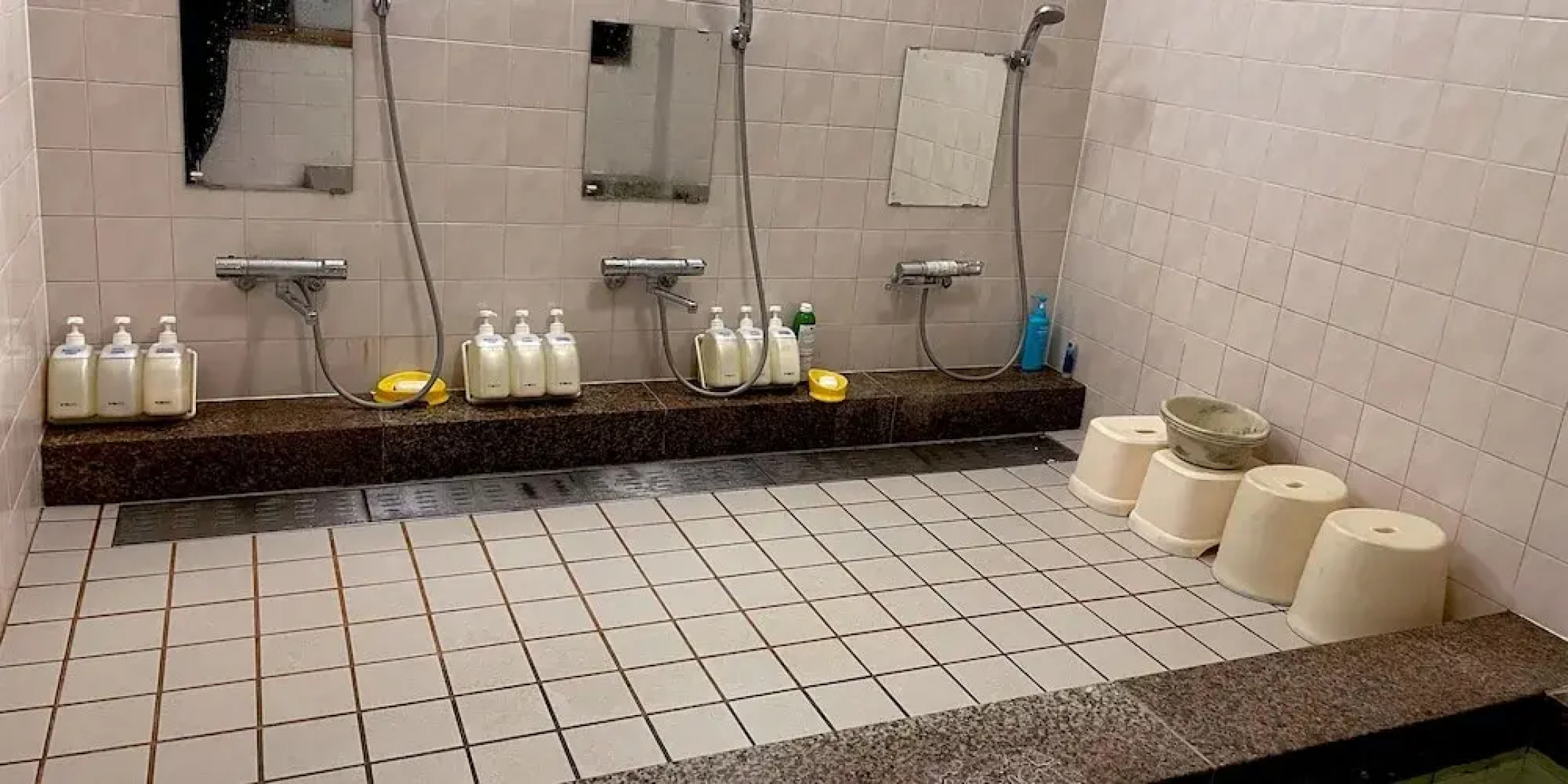 Business Ryokan Wakakusa