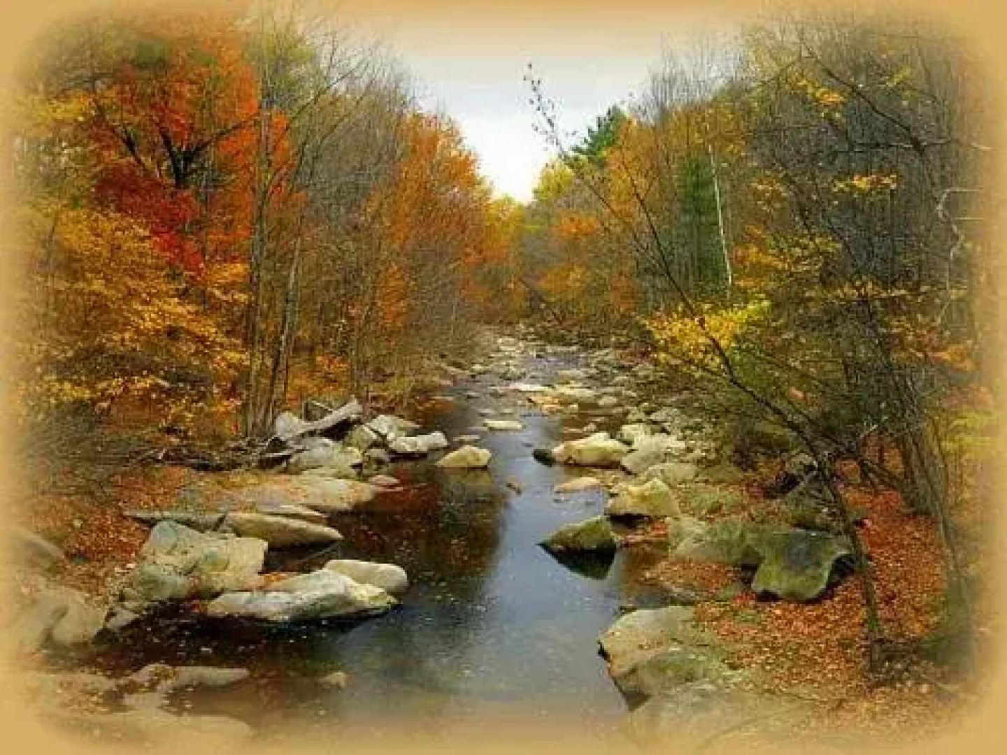 The Clarke House Bed & Breakfast