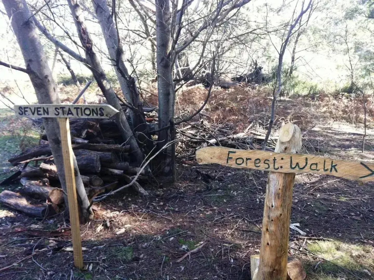 Wind Song Bed and Breakfast