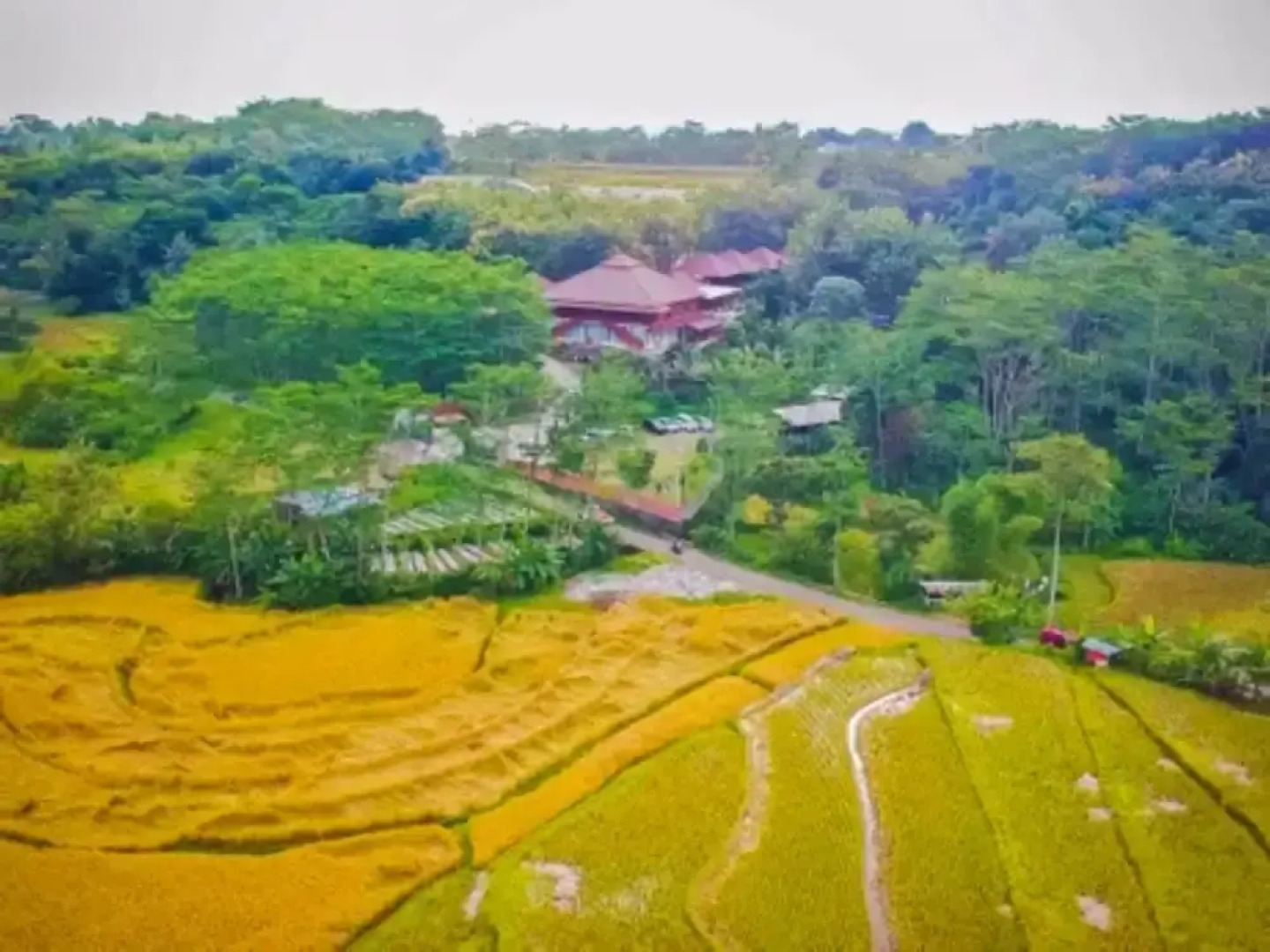 Kasuari Exotic Resort Magelang