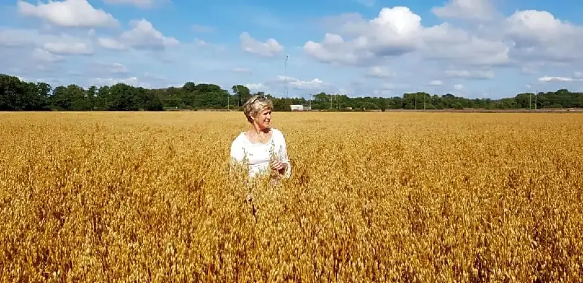 Hermanslycke Bed & Breakfast