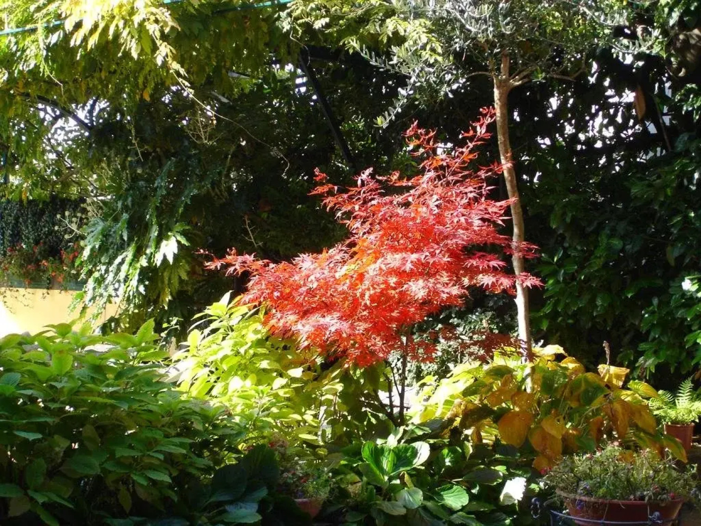 Albergo Ristorante Carenno