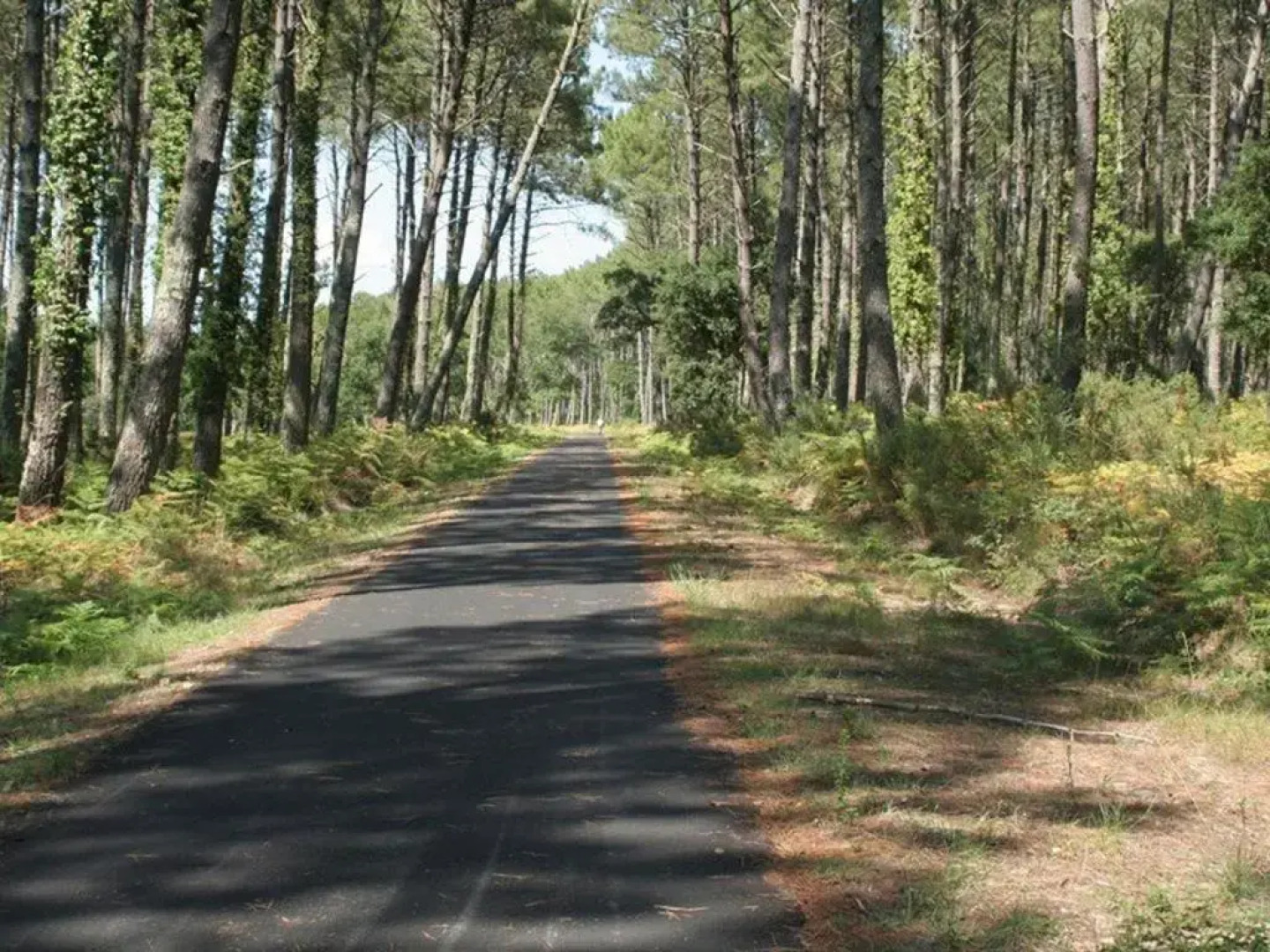Maison Messanges, 4 pièces, 6 personnes - FR-1-379-100