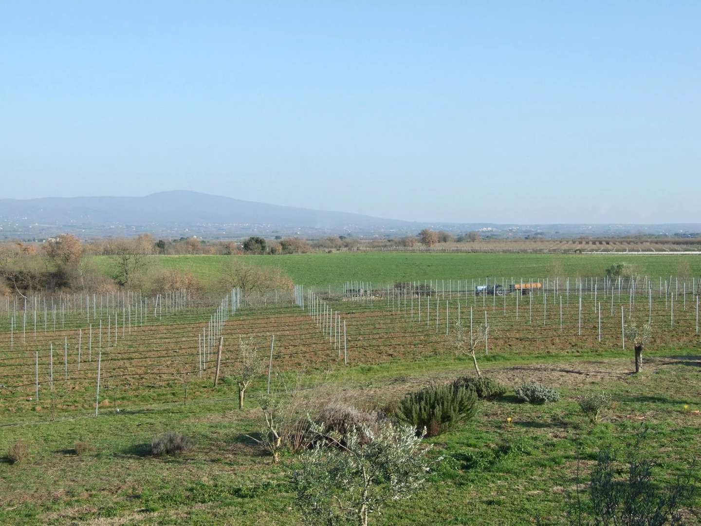 Agriturismo il Marrugio