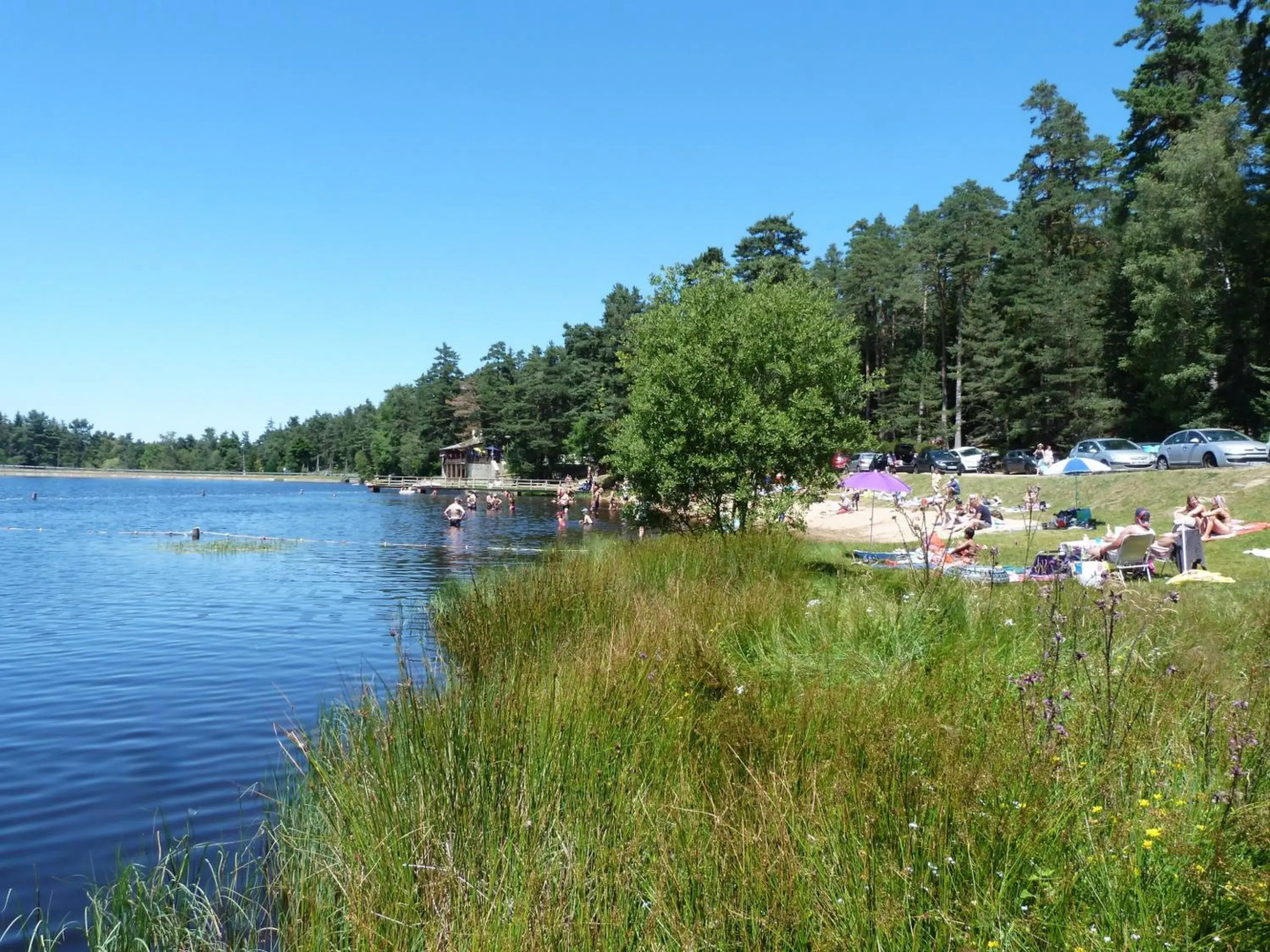 Chambre d'Hôtes la Fougeraie