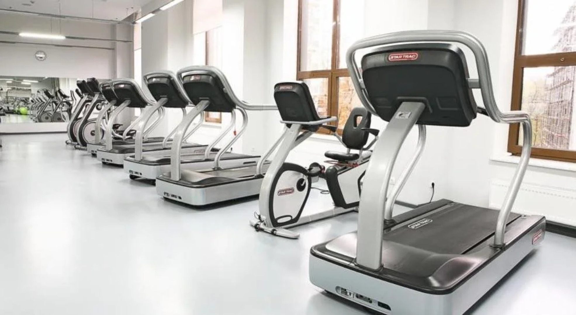 Отель Ark Palace