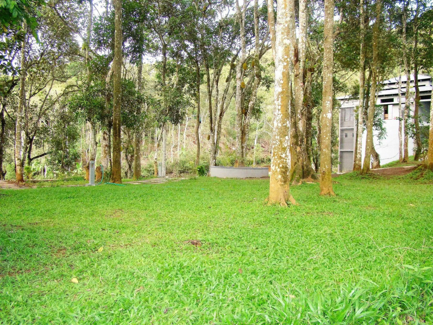 The Mountain Courtyard Thekady