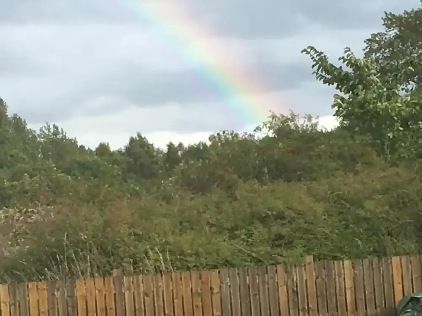 Pensionat Lugn&Ro&Minizoo