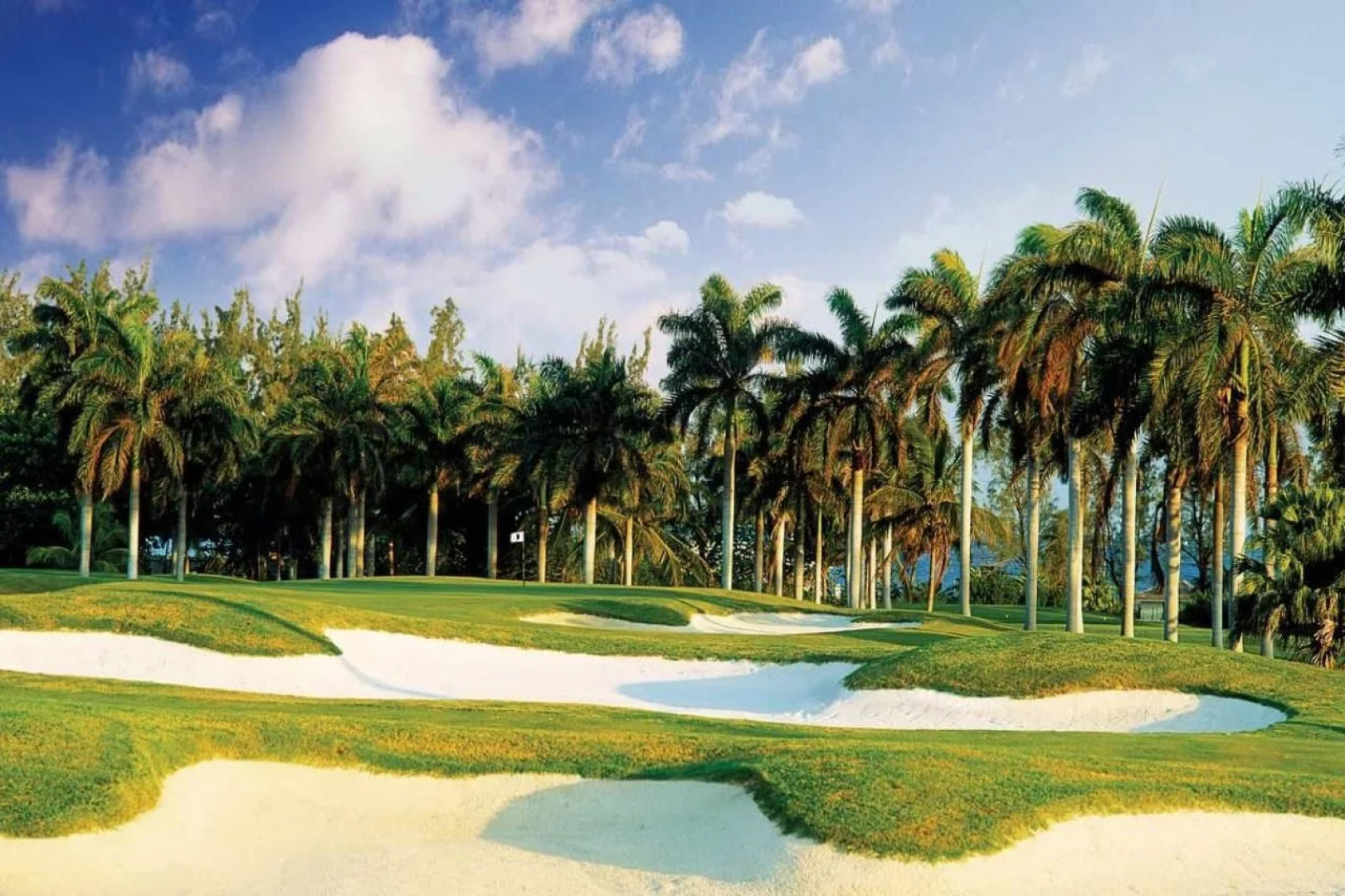 Отель Half Moon