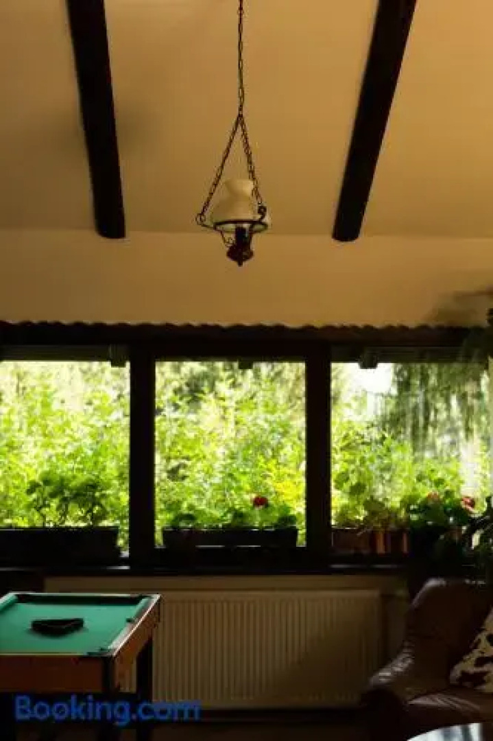 Pension Cabana Ionela