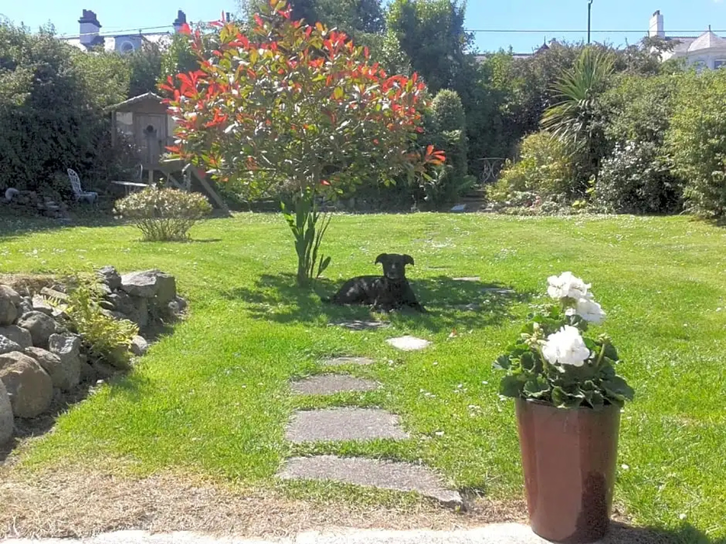 Whitehead Bed and Breakfast