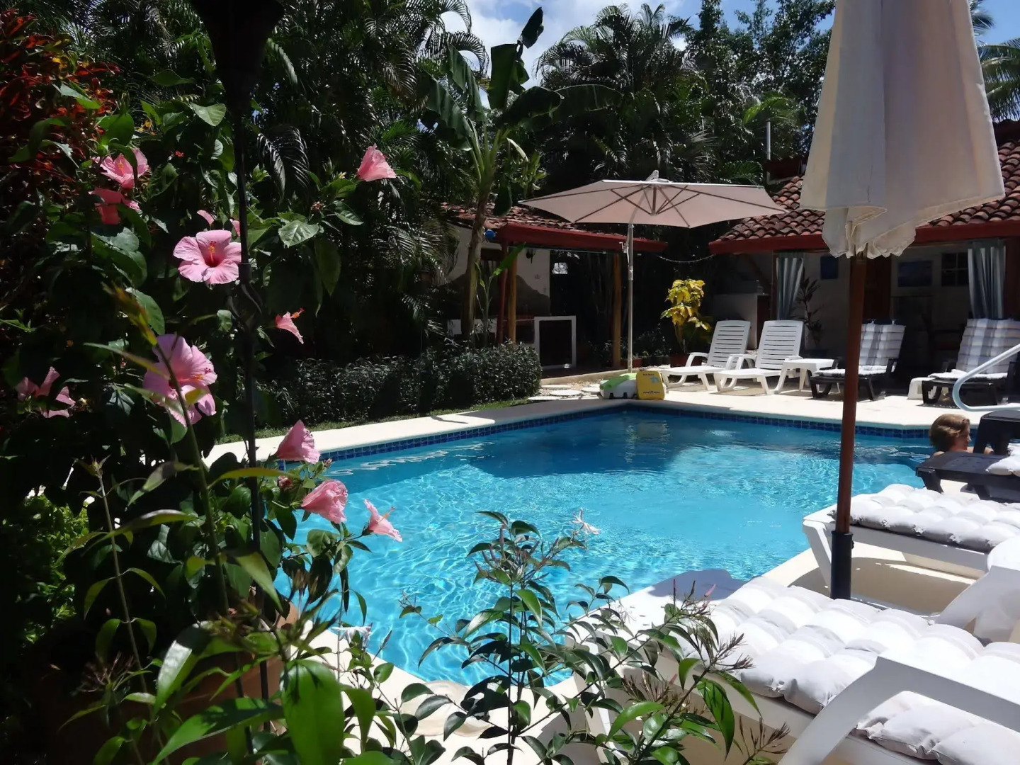 Villa Botero By Casa Mojito B&B