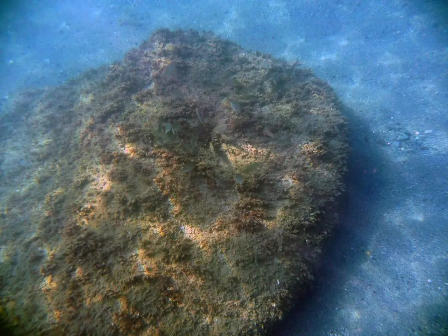 Appartamenti la Quiete