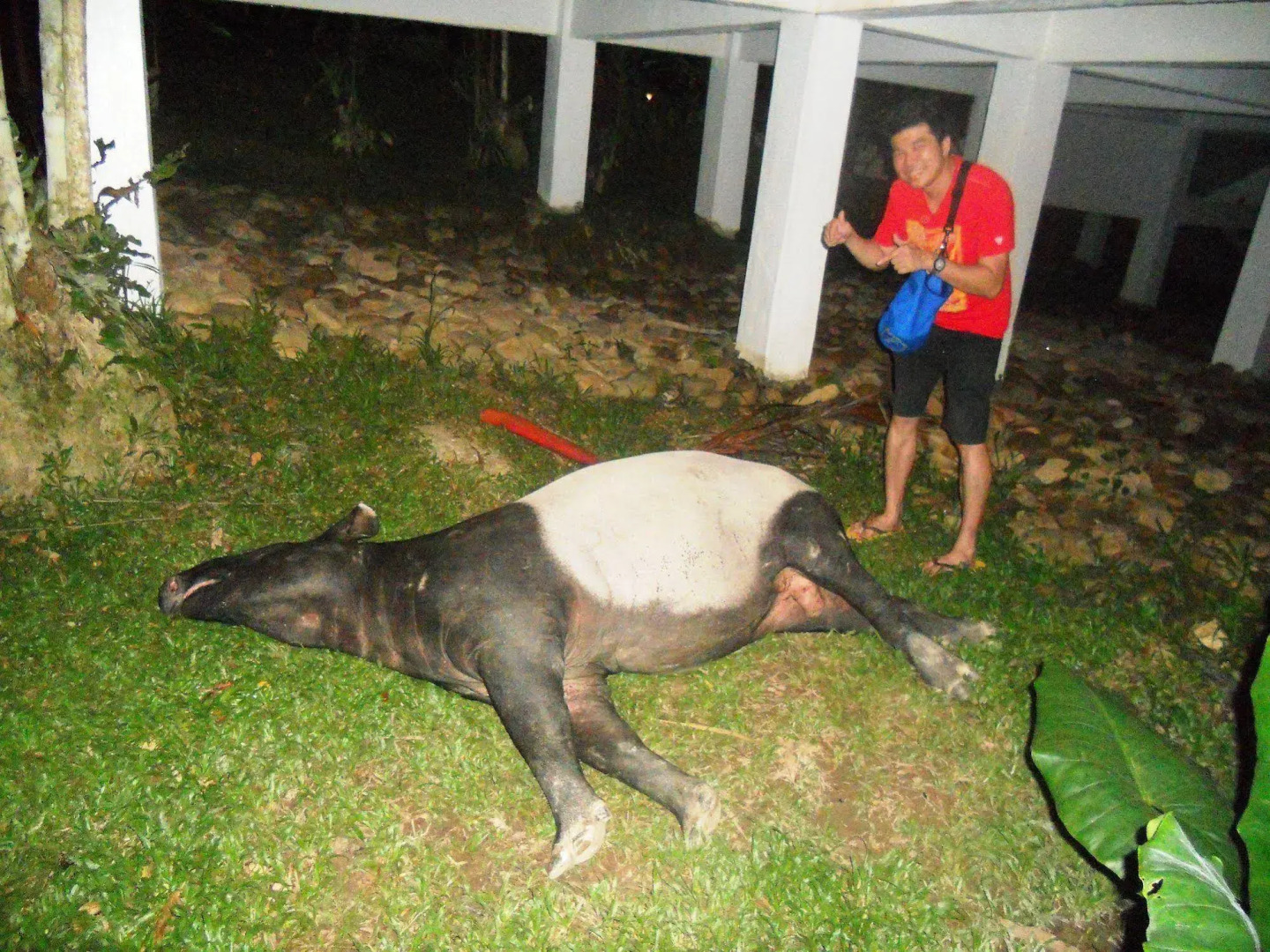 Capital O 90665 Countryview Recreation Park & Resort - Hostel