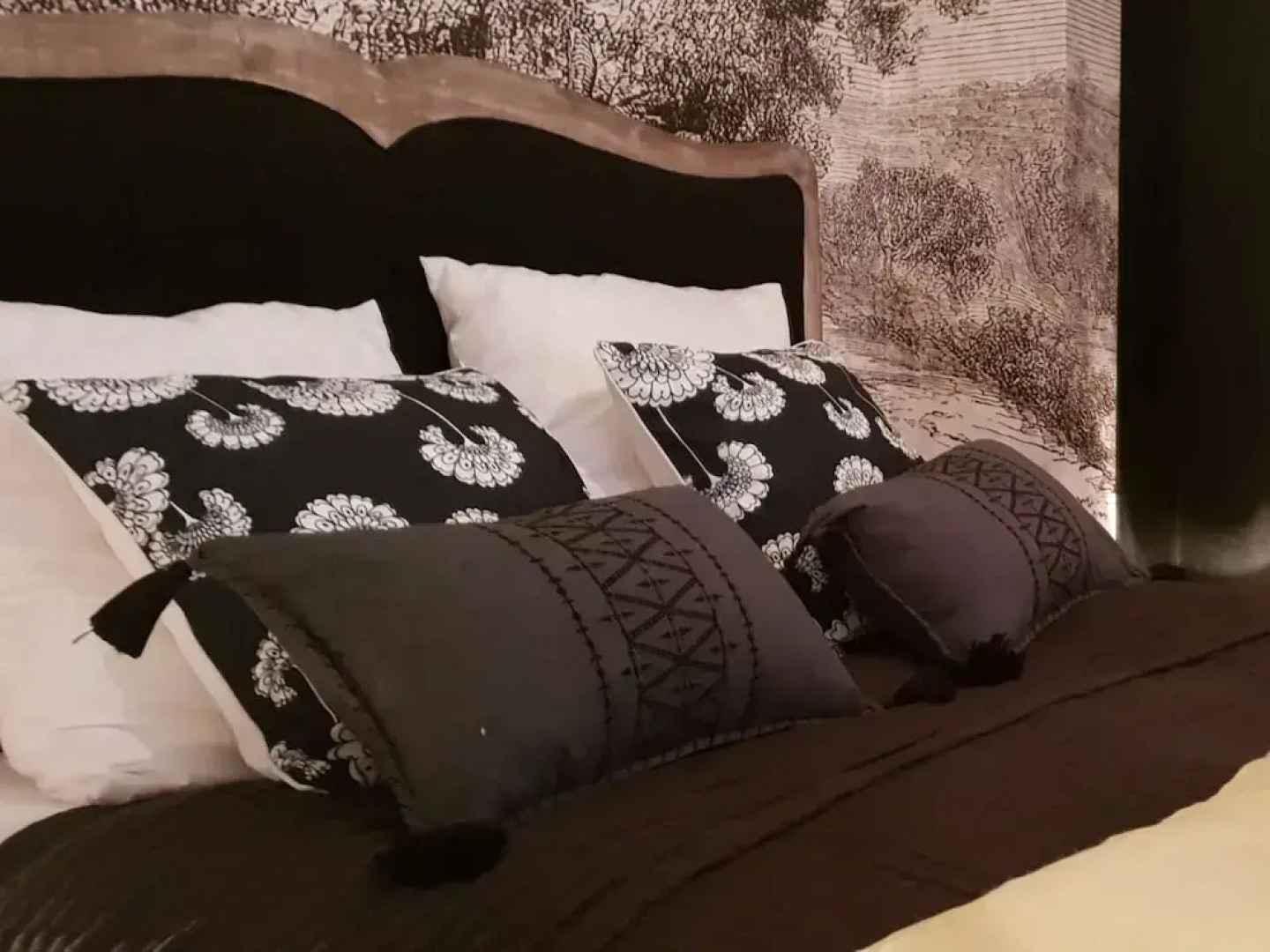 Nature & Chateaux à Azay le Rideau