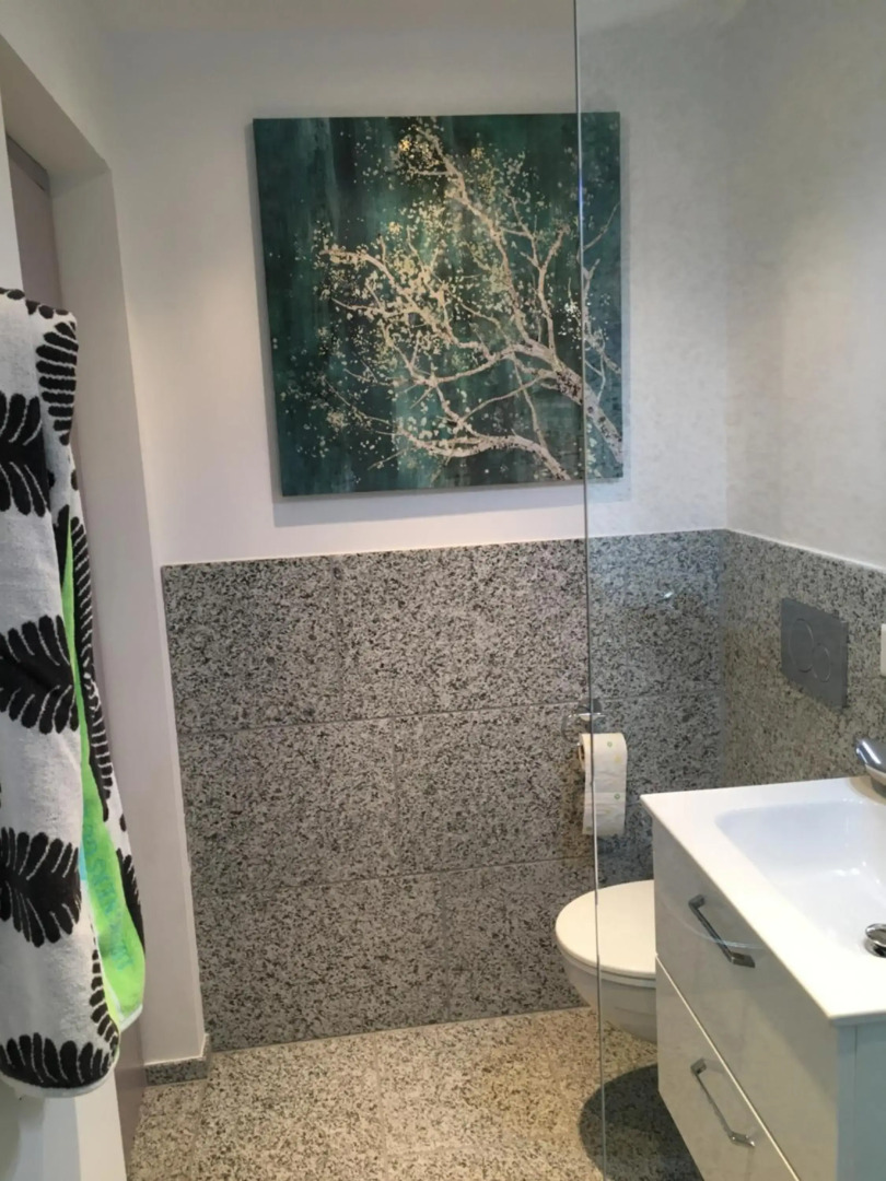 Rustico RESA: Brione sopra Minusio