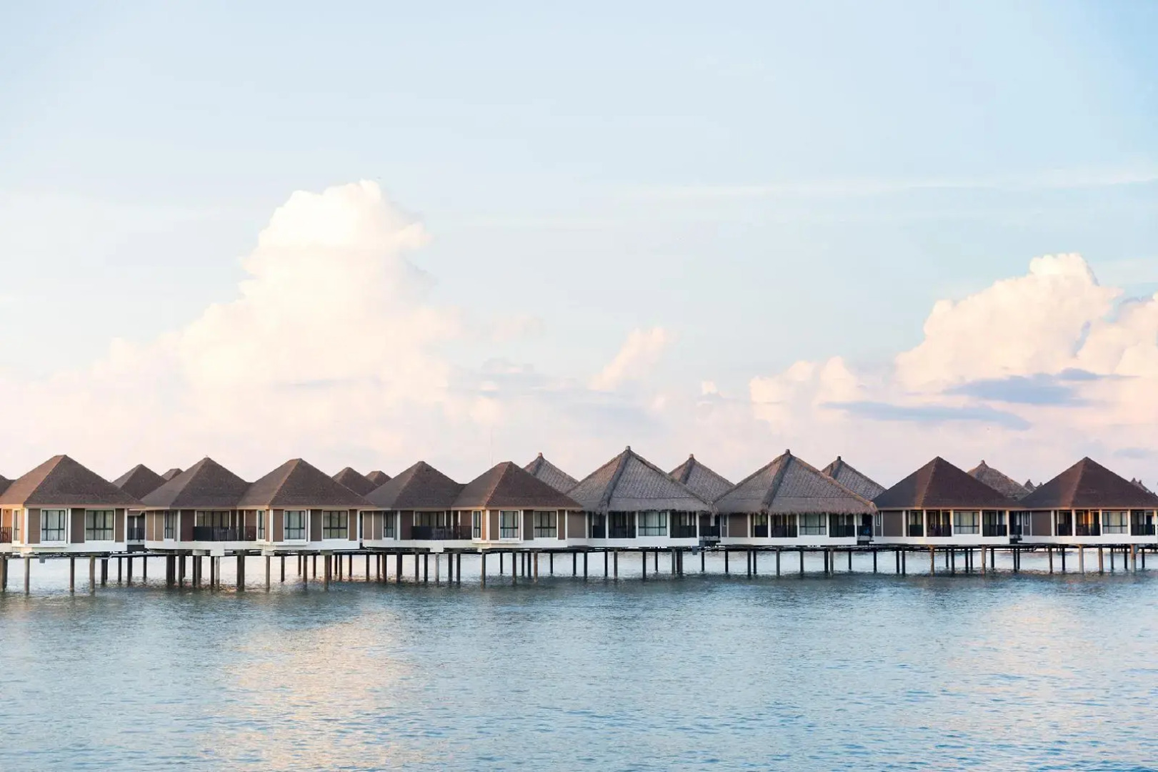 Golden Palm Tree Sepang