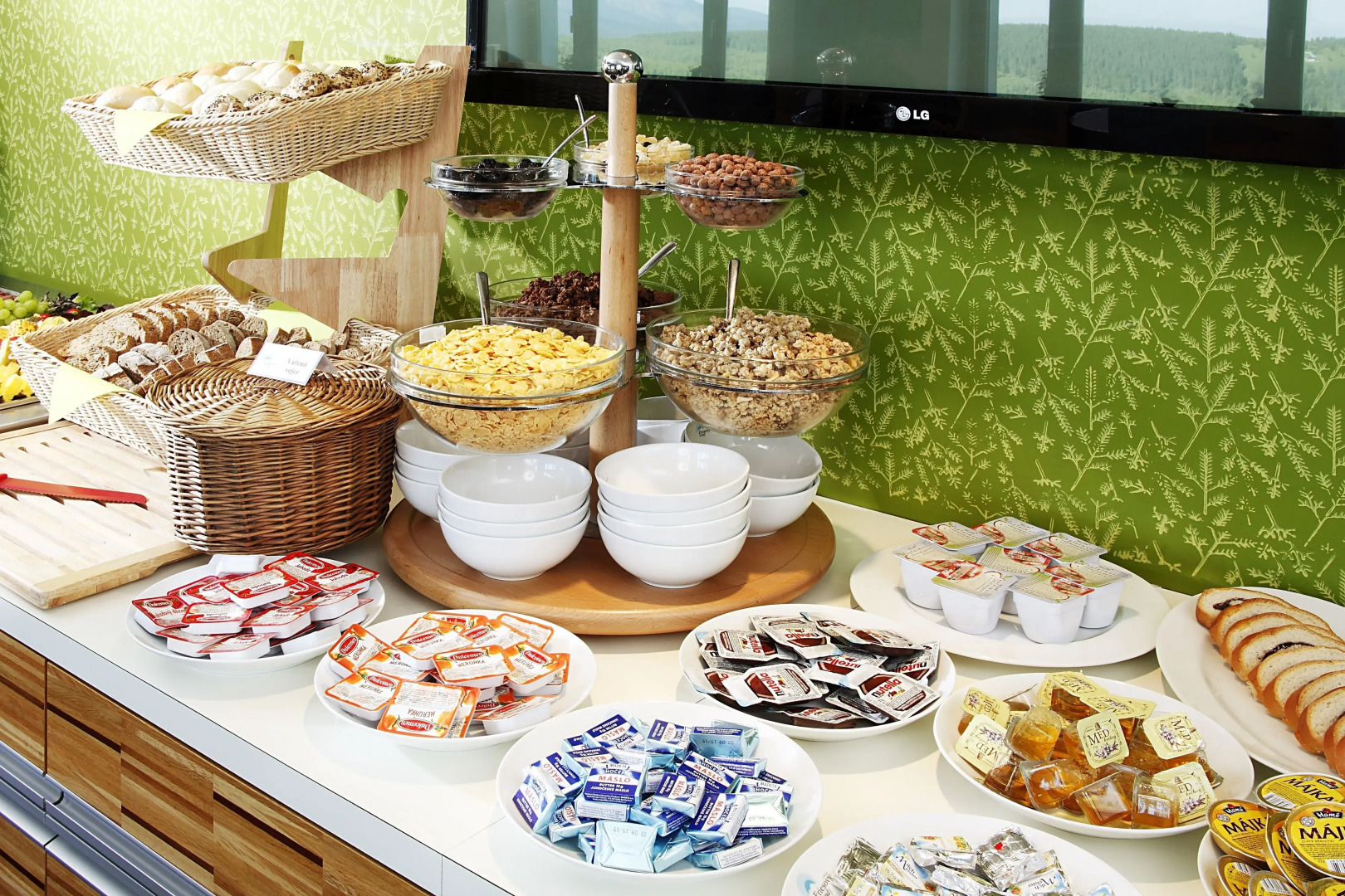 Areál Friesovy boudy