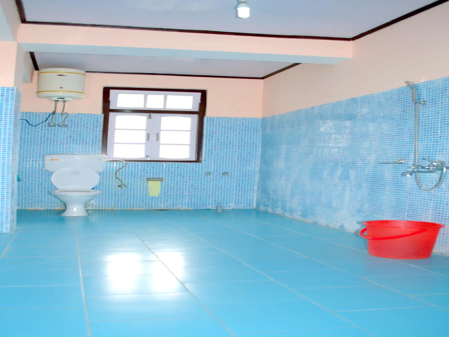 Delight Royal Lachung