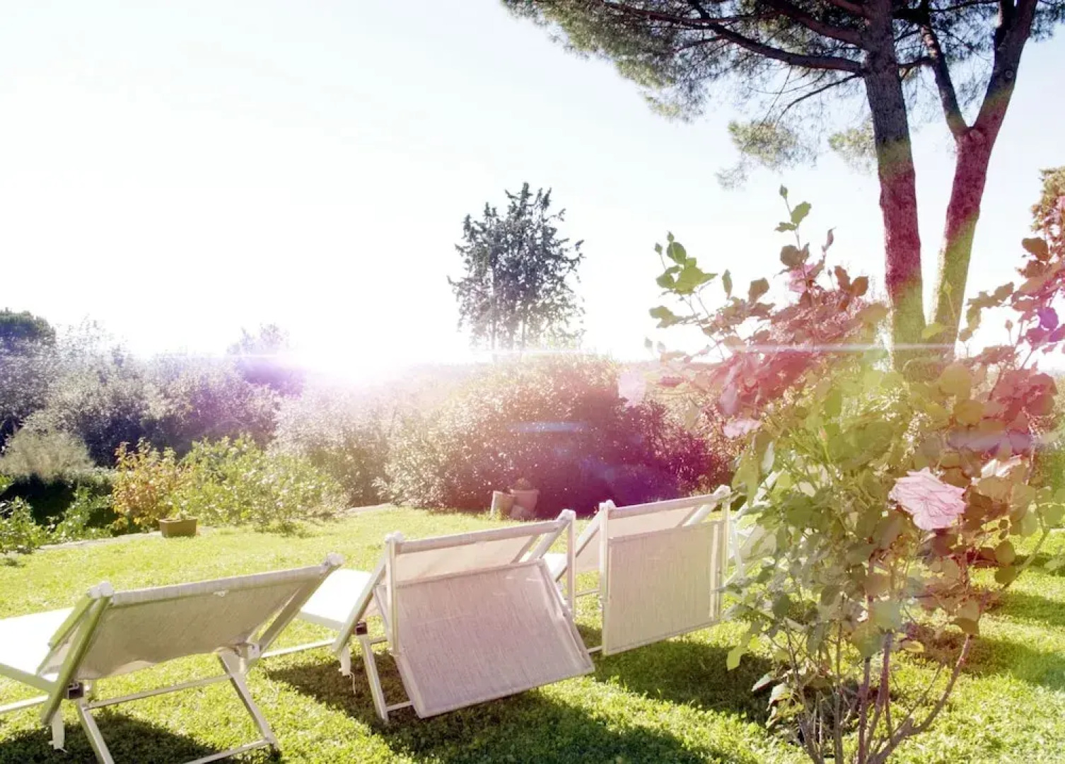 Agriturismo Anna De Croy